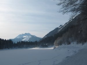 hiver - JPEG - 27.1 ko