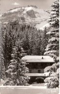 Hôtel les sapins - JPEG - 108 ko