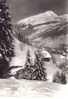 L'aulp montriond et Nantaux - JPEG - 86.6 ko