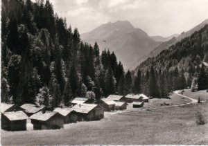 ardent +cablage du bois - JPEG - 40.2 ko